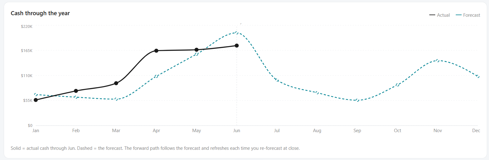 Client portal, cash through the year with forecast